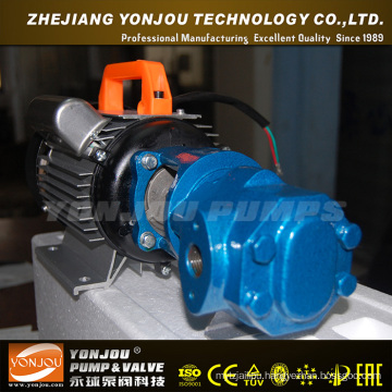 Wcb Portable Gear Oil Transfer Pump